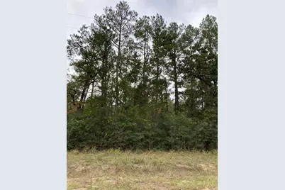 16596 Camelia Lane, Plantersville, TX 77363 - Photo 5