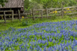 31019 Vintage Crk Ln, Fulshear, TX 77441 - Photo 37