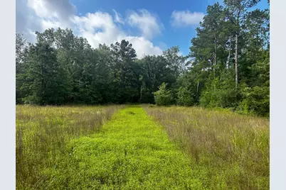 2456 Cr 4550, Pennington, TX 75856 - Photo 13