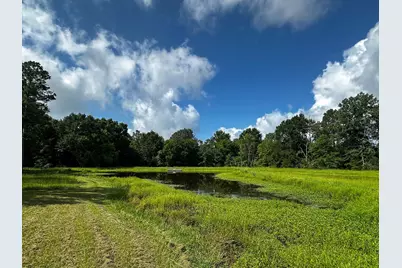 2456 Cr 4550, Pennington, TX 75856 - Photo 21