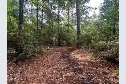 2456 Cr 4550, Pennington, TX 75856 - Photo 19