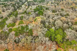 29510 Huffman Cleveland Rd, Huffman, TX 77336 - Photo 7