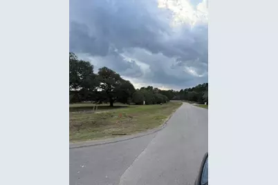 9502 Old Cedars Drive, Plantersville, TX 77363 - Photo 15