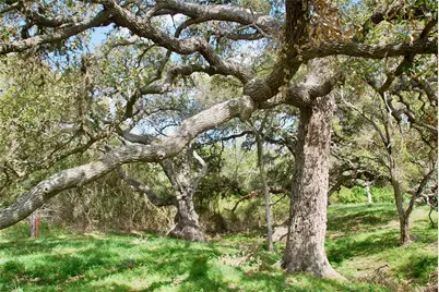 494 County Road 217C, Schulenburg, TX 78956 - Photo 7