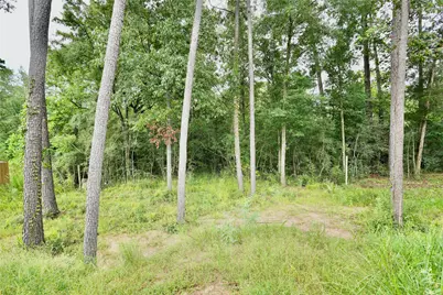 12161 La Salle River Rd, Conroe, TX 77304 - Photo 35