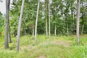 12161 La Salle River Rd, Conroe, TX 77304 - Photo 35