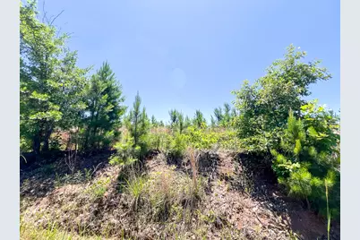 T-1 Union Springs Road, Corrigan, TX 75939 - Photo 11