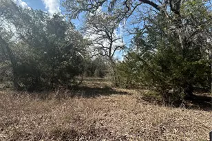 3060 Brunes Mill Rd, Columbus, TX 78934 - Photo 1