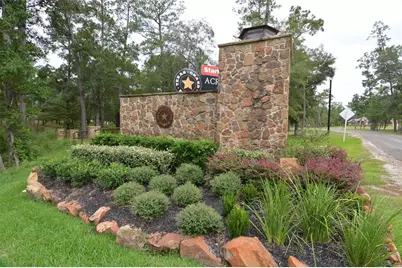 00 Sundog Road, Huntsville, TX 77340 - Photo 3