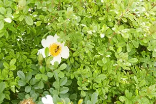 11913 McAngus Rd, Del Valle, TX 78617 - Photo 11