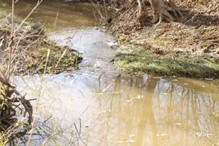 11913 McAngus Rd, Del Valle, TX 78617 - Photo 15