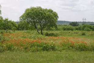 11913 McAngus Rd, Del Valle, TX 78617 - Photo 7