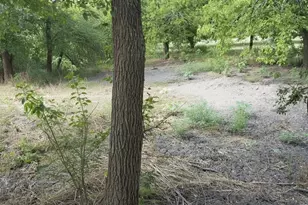 11913 McAngus Rd, Del Valle, TX 78617 - Photo 15