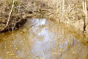 11913 McAngus Rd, Del Valle, TX 78617 - Photo 17