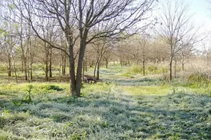 11913 McAngus Rd, Del Valle, TX 78617 - Photo 1