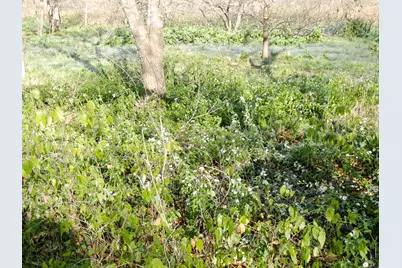 11913 McAngus Road, Del Valle, TX 78617 - Photo 19