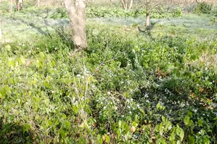 11913 McAngus Rd, Del Valle, TX 78617 - Photo 19