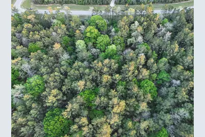 15537 Red Hawk Road, Willis, TX 77373 - Photo 3