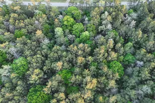 15537 Red Hawk Rd, Willis, TX 77373 - Photo 3