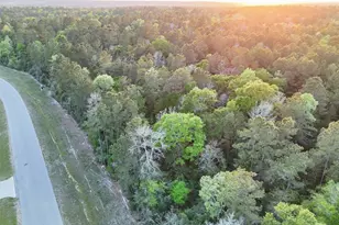 15537 Red Hawk Rd, Willis, TX 77373 - Photo 31