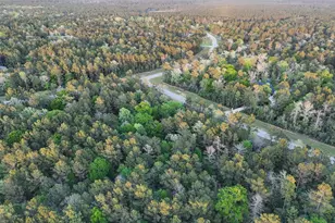 15537 Red Hawk Rd, Willis, TX 77373 - Photo 9