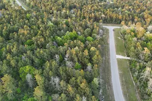 15537 Red Hawk Rd, Willis, TX 77373 - Photo 15