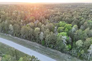 15537 Red Hawk Rd, Willis, TX 77373 - Photo 29