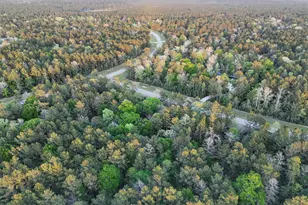 15537 Red Hawk Rd, Willis, TX 77373 - Photo 7