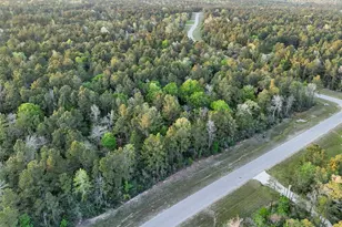 15537 Red Hawk Rd, Willis, TX 77373 - Photo 21