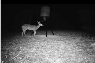 9378 Cocklebur Loop, Silsbee, TX 77656 - Photo 43