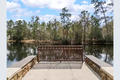 85 N Concord Forest Circle, The Woodlands, TX 77381 - Photo 35