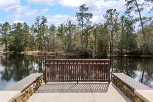 85 N Concord Forest Cir, The Woodlands, TX 77381 - Photo 35