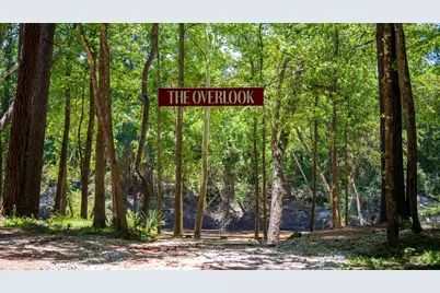 9640 Mount Brewer Lane, Porter, TX 77365 - Photo 11