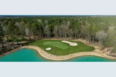 9640 Mount Brewer Lane, Porter, TX 77365 - Photo 13