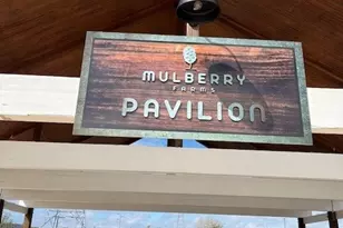 3818 Garden Hill Ln, Santa Fe, TX 77510 - Photo 37