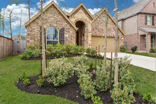 103 Wild Garden Ct, Conroe, TX 77304 - Photo 1