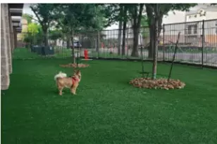 5454 Washington Ave, Houston, TX 77007 - Photo 21