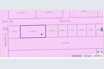 1103 Alice Avenue, El Campo, TX 77437 - Photo 1
