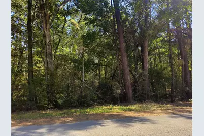 Tbd Royal Springs Road, Conroe, TX 77303 - Photo 5