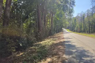 Tbd Royal Springs Rd, Conroe, TX 77303 - Photo 3