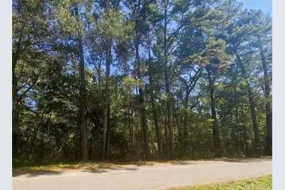 Tbd Royal Springs Road, Conroe, TX 77303 - Photo 1