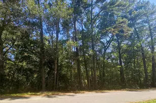 Tbd Royal Springs Rd, Conroe, TX 77303 - Photo 1