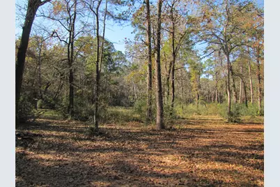 32602 Dogwood Trail, Magnolia, TX 77355 - Photo 3