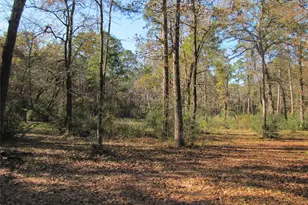 32602 Dogwood Trail, Magnolia, TX 77355 - Photo 3