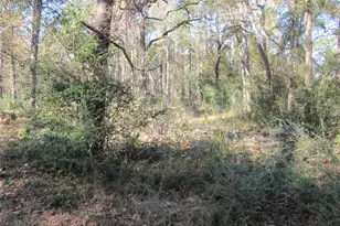32602 Dogwood Trail, Magnolia, TX 77355 - Photo 1