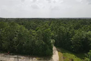 02 Garland, Magnolia, TX 77354 - Photo 29