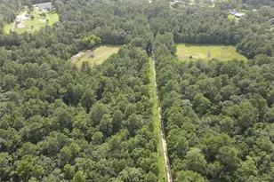 02 Garland, Magnolia, TX 77354 - Photo 17