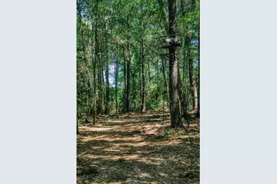 22984 Nichols Sawmill Road, Hockley, TX 77447 - Photo 41