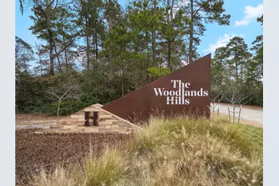 526 Tawny Rim Drive, Conroe, TX 77318 - Photo 3