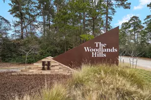 526 Tawny Rim Dr, Willis, TX 77318 - Photo 23